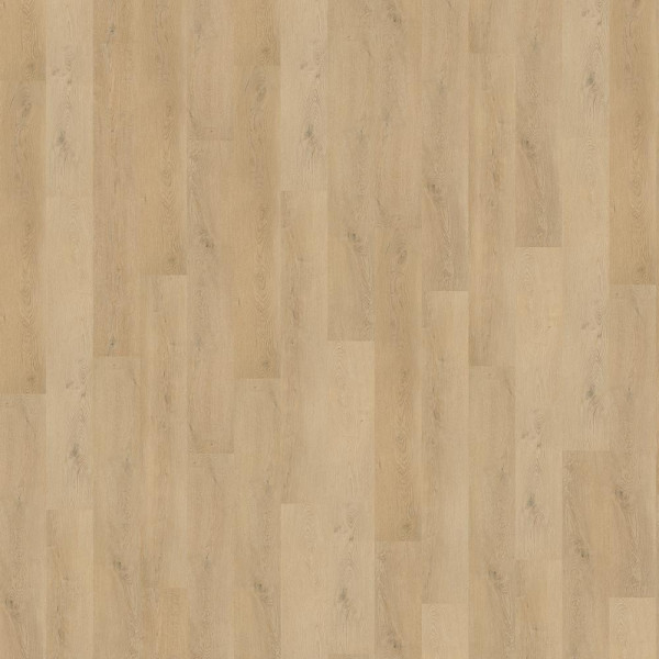 Wineo Designboden 400 wood L