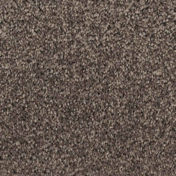 Vorwerk Teppichboden Passion 1001