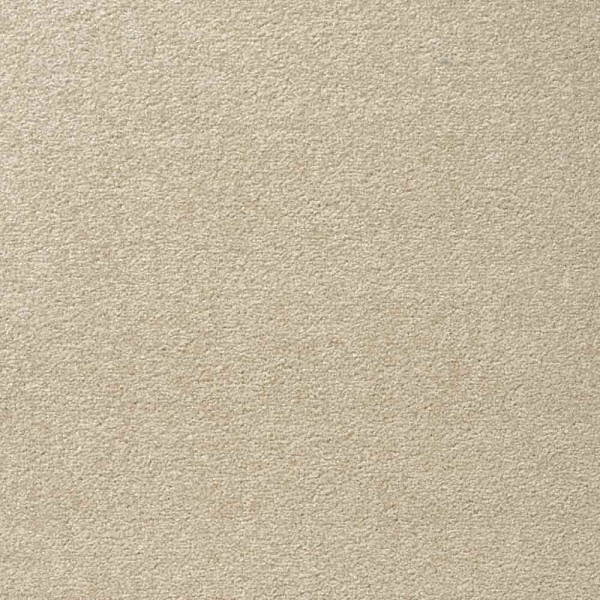 Teppichboden Passion 1004