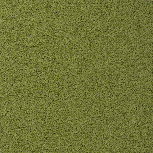 Vorwerk Exclusive 1009