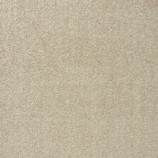 Vorwerk Passion 1004