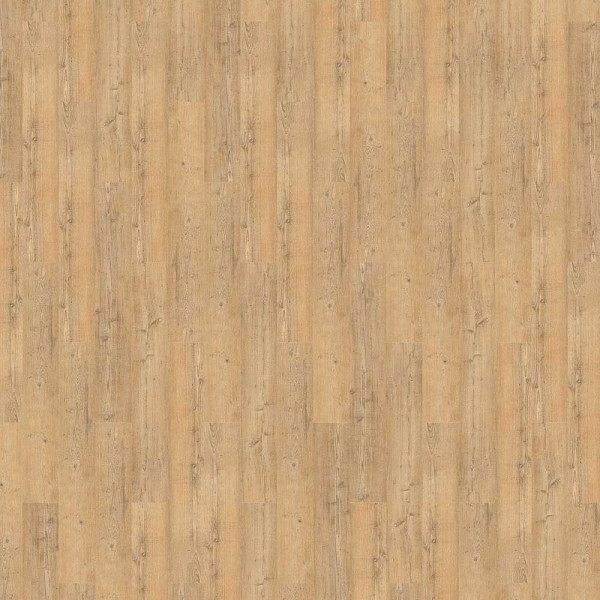 Repac Designboden Pine Wood Klick