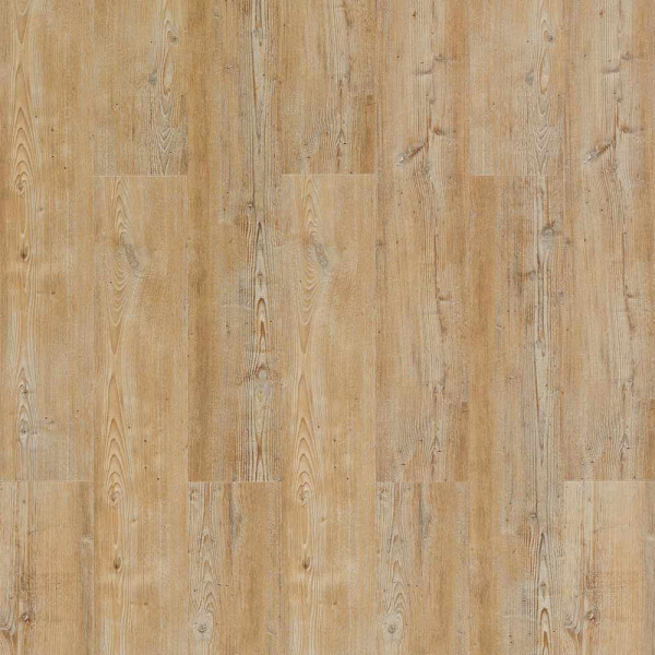 Amorim Designboden Wood Resist