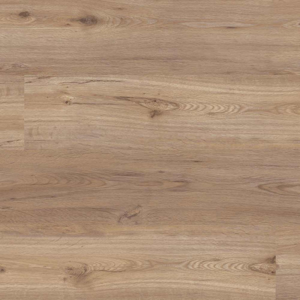 Exclusiv XL Diele 50