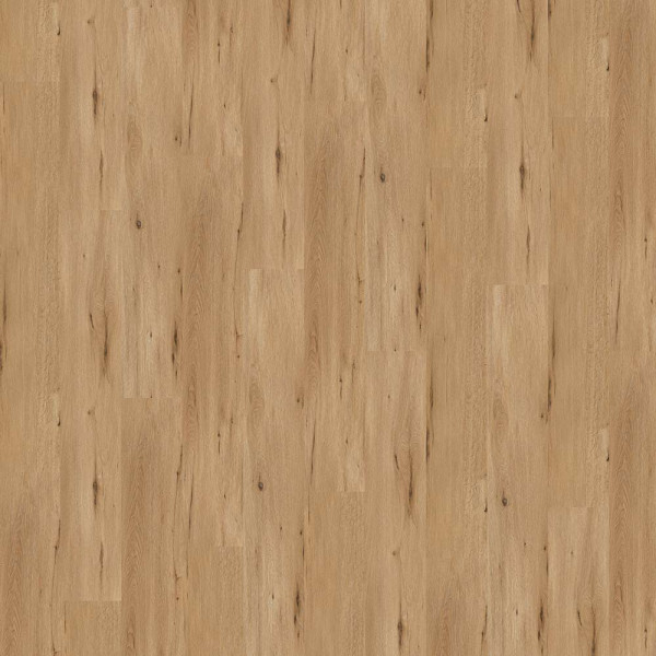 Wineo Designboden 400 wood XL