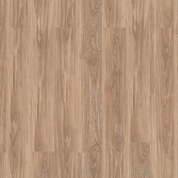 Amorim Designboden Wood Go
