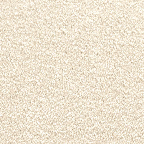 Teppichboden Passion 1001