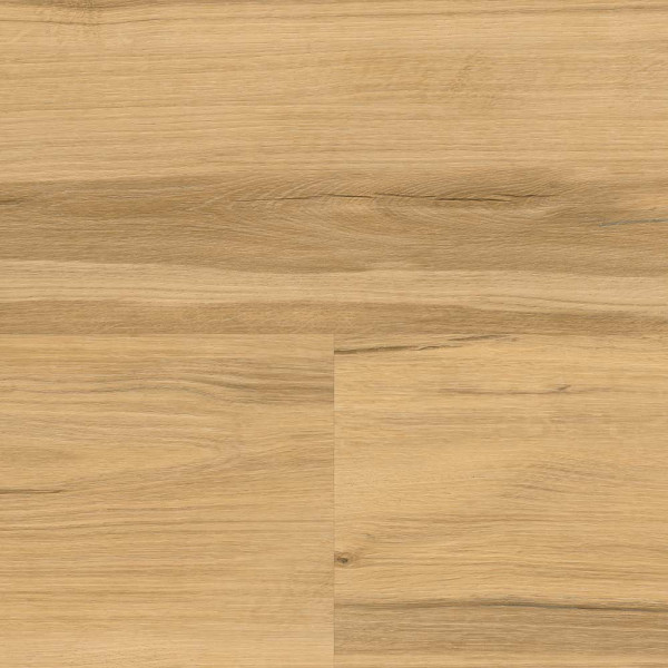 Wineo Designboden 400 wood XL