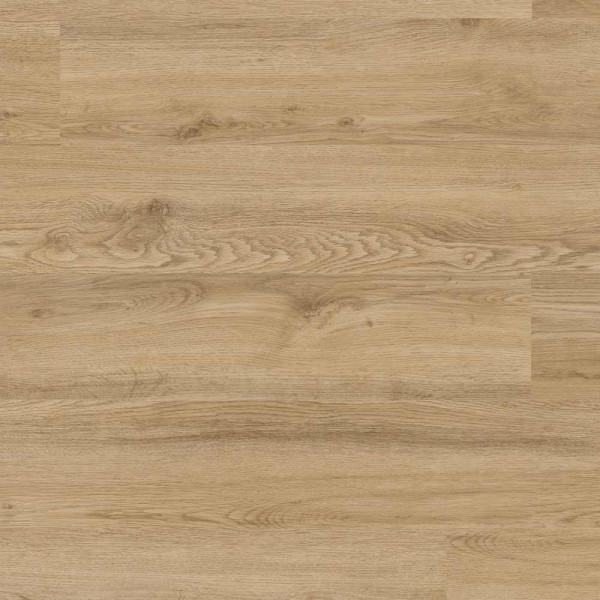 Project Floors Designboden floors@work/55