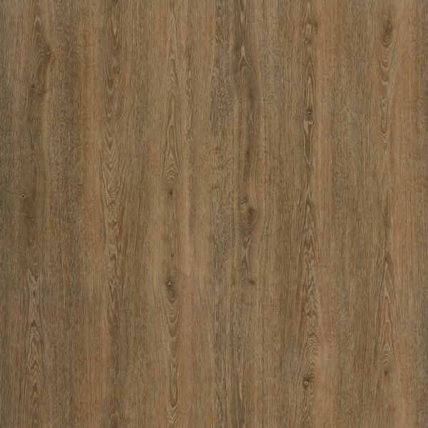 Amorim Designboden Wood Go