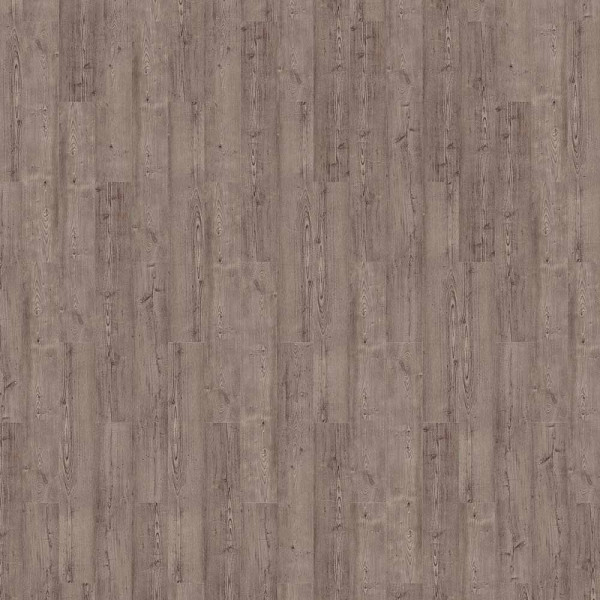 Repac Designboden Pine Wood