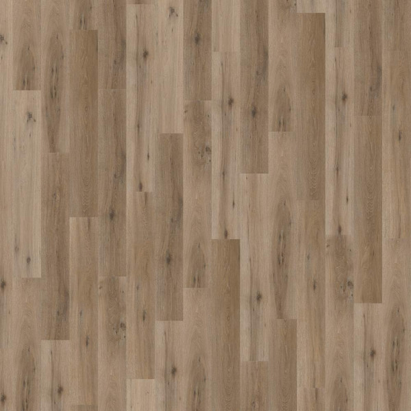 Amorim Designboden Wood Go