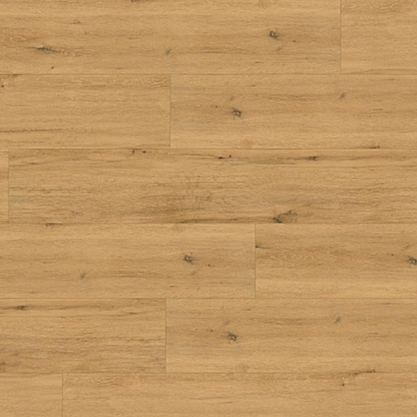 Wineo Designboden 1500 wood XL