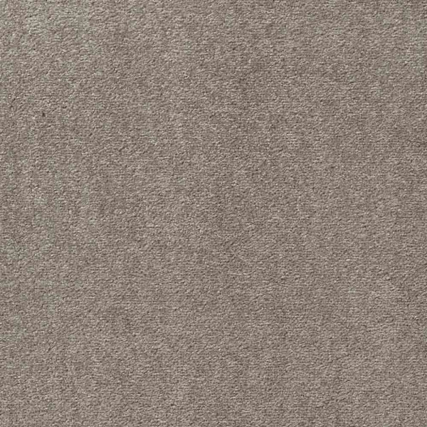 Teppichboden Passion 1004