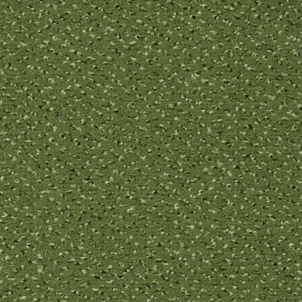 Vorwerk Superior 1035