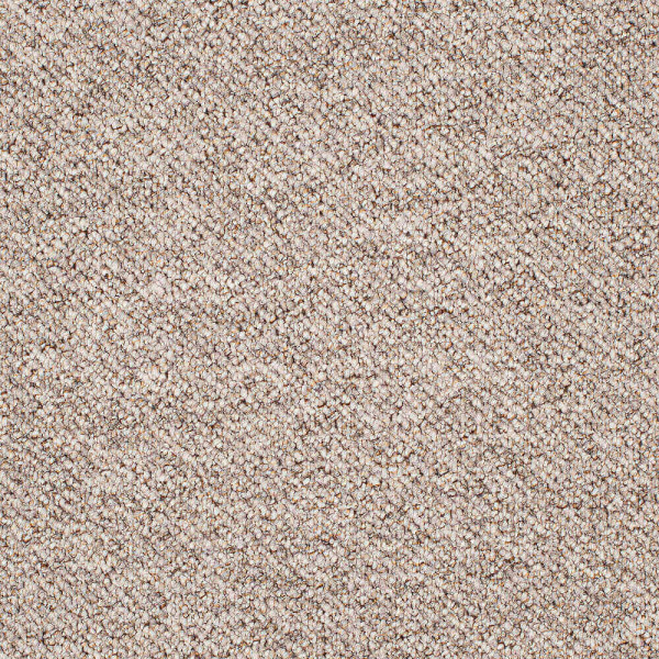 Beige Teppichboden mit Schlingenoberfläche wird präsentiert. Der Preis beträgt 13,99 € pro Quadratmeter. Der Teppich ist unempfindlich und eignet sich für verschiedene Anwendungen.