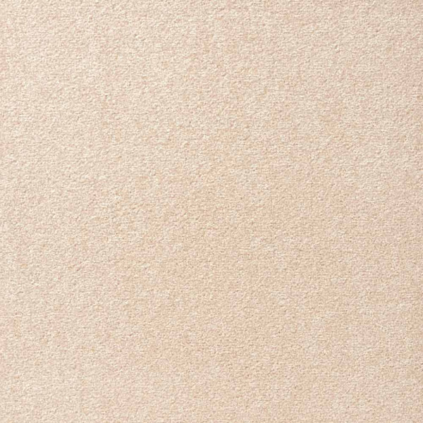 Teppichboden Passion 1004