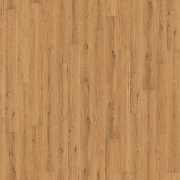 Amorim Korkboden Wood Essence