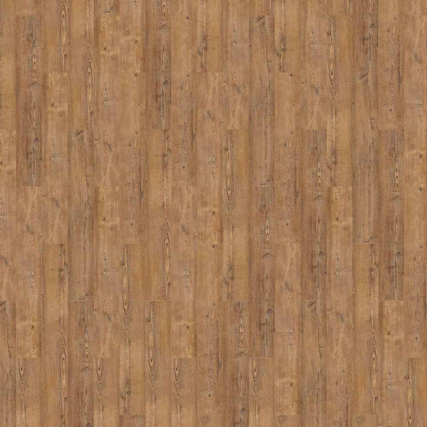 Repac Designboden Pine Wood Klick