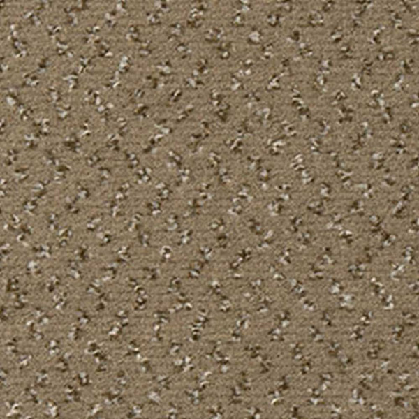 Vorwerk Passion 1047