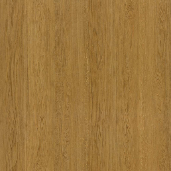 Amorim Designboden Wood Go