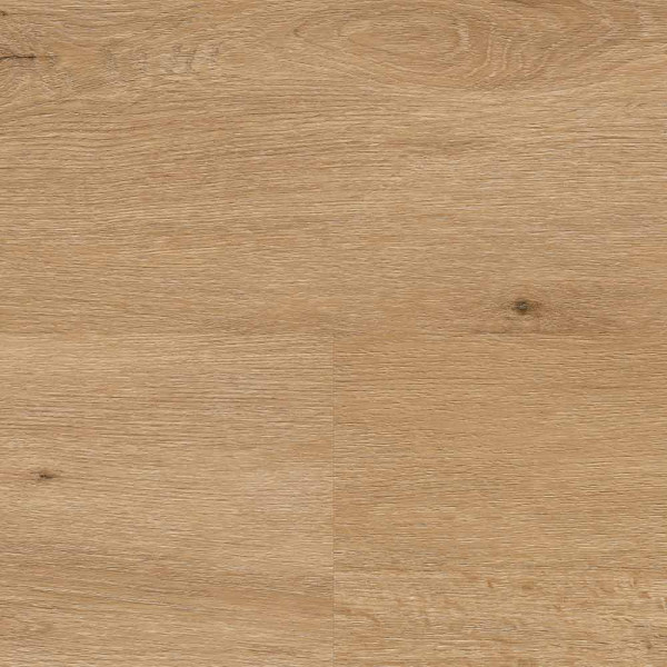 Wineo Designboden 400 wood XL