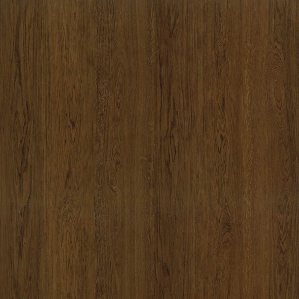 Amorim Designboden Wood Go